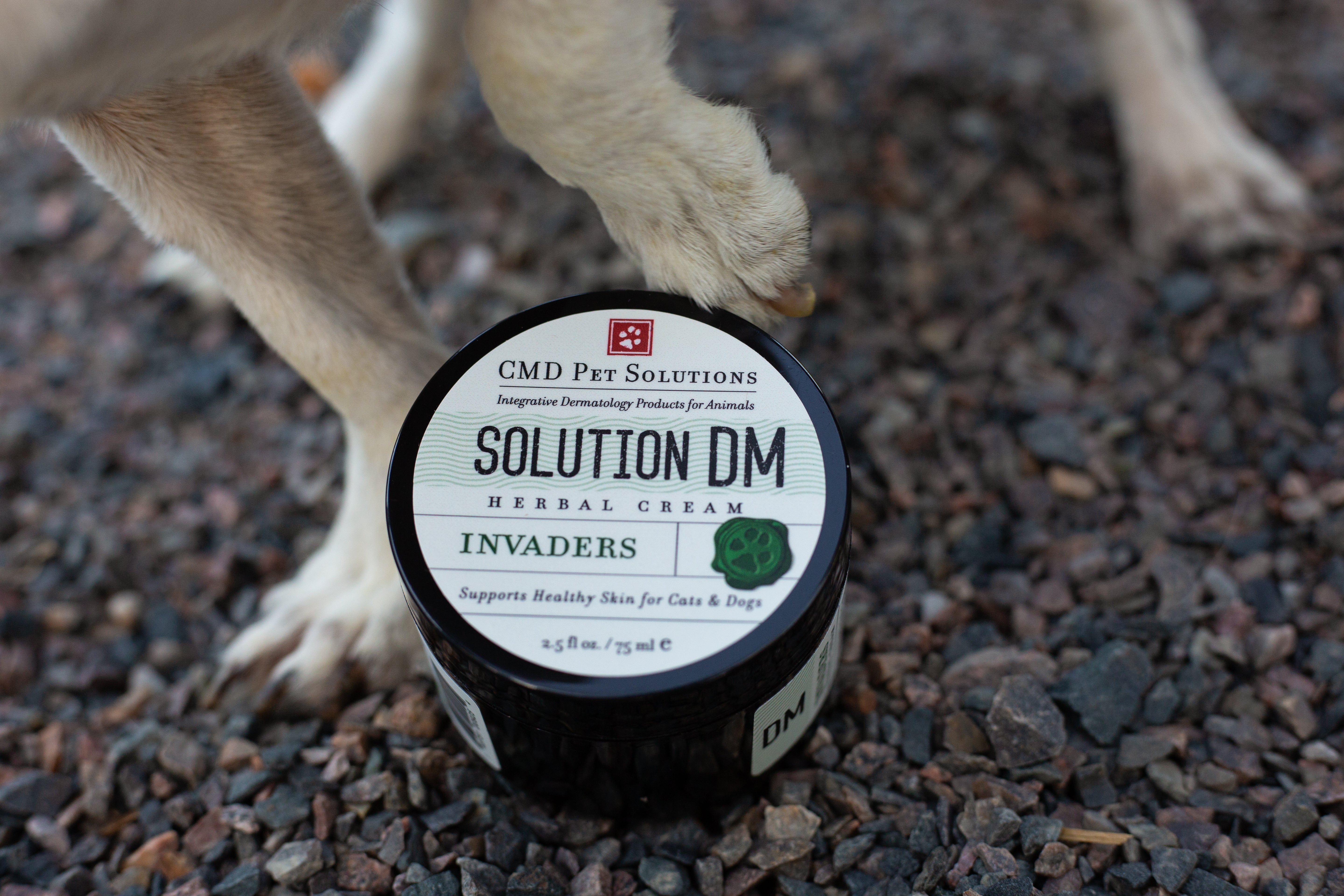 Herbal Cream for Demodex Mange in Dogs | CMD Pet Solutions – CMD Skin ...